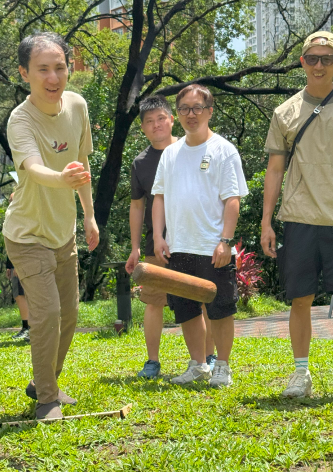 芬蘭木柱發展計劃